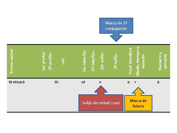 tiroteará tir ot Sufijo deverbal (-ear) Modo, tiempo y aspecto Número y persona e tiroteará tir ot Sufijo deverbal (-ear) Modo, tiempo y aspecto Número y persona e