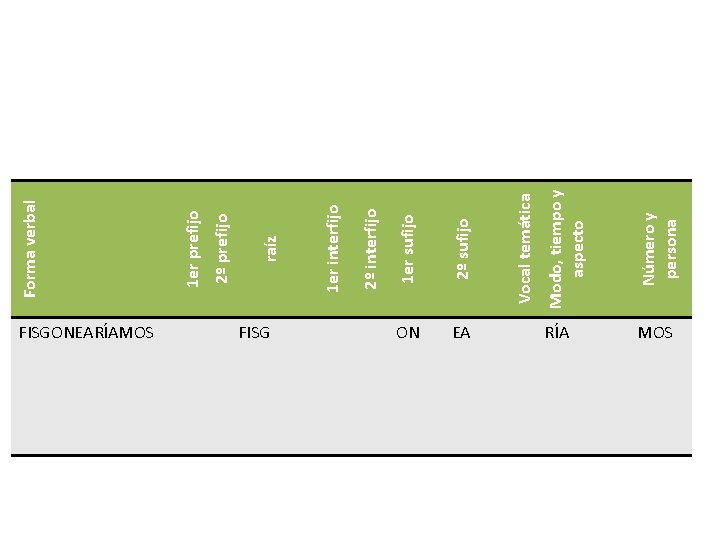FISGONEARÍAMOS ON EA Modo, tiempo y aspecto Número y persona Vocal temática 2º sufijo FISGONEARÍAMOS ON EA Modo, tiempo y aspecto Número y persona Vocal temática 2º sufijo