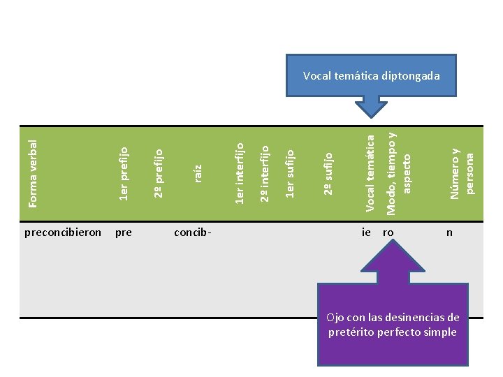 1 er prefijo preconcibieron pre concibie ro Número y persona Modo, tiempo y aspecto 1 er prefijo preconcibieron pre concibie ro Número y persona Modo, tiempo y aspecto