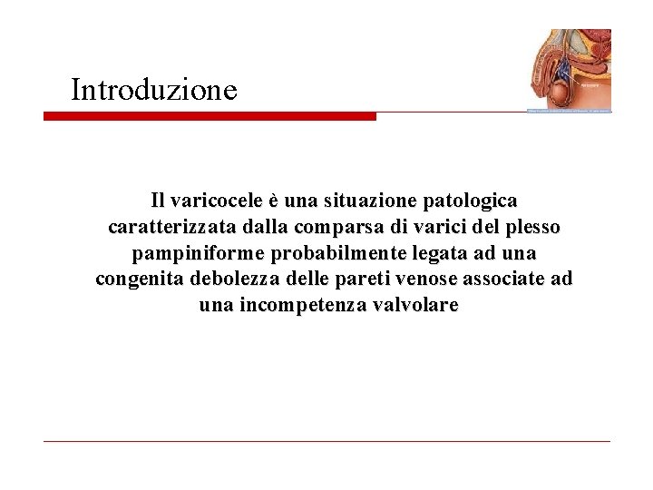 Introduzione Il varicocele è una situazione patologica caratterizzata dalla comparsa di varici del plesso