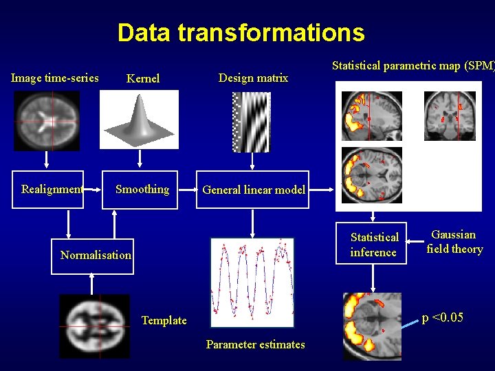Data transformations Image time-series Kernel Design matrix Realignment Smoothing General linear model Statistical parametric