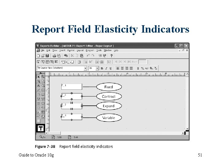 Report Field Elasticity Indicators Guide to Oracle 10 g 51 