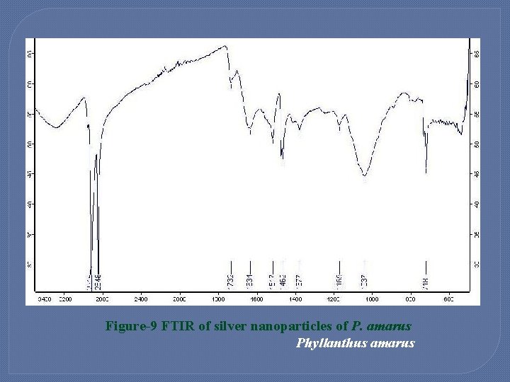 Figure-9 FTIR of silver nanoparticles of P. amarus Phyllanthus amarus 