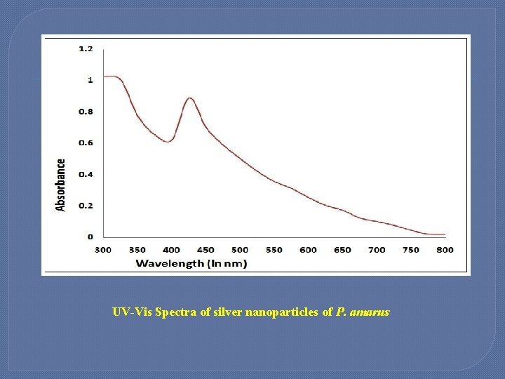 UV-Vis Spectra of silver nanoparticles of P. amarus 