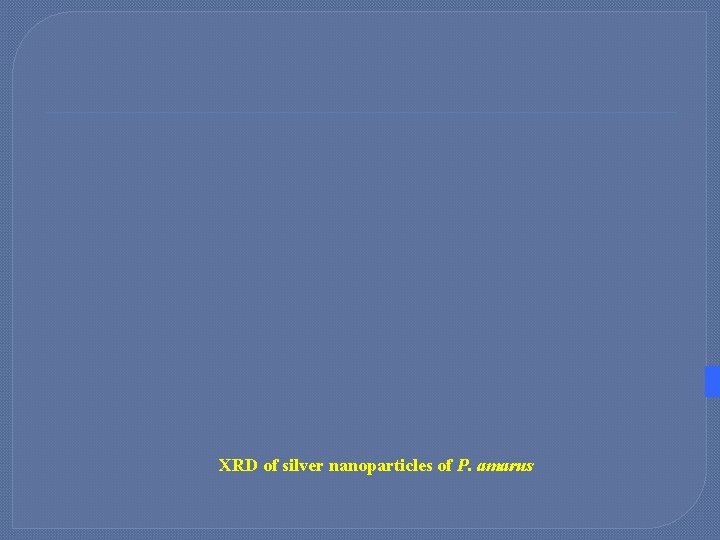 XRD of silver nanoparticles of P. amarus 
