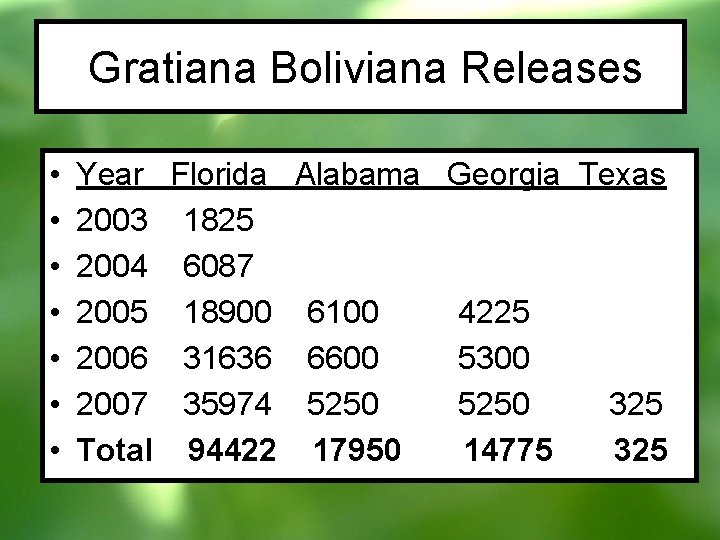 Gratiana Boliviana Releases • • Year 2003 2004 2005 2006 2007 Total Florida 1825