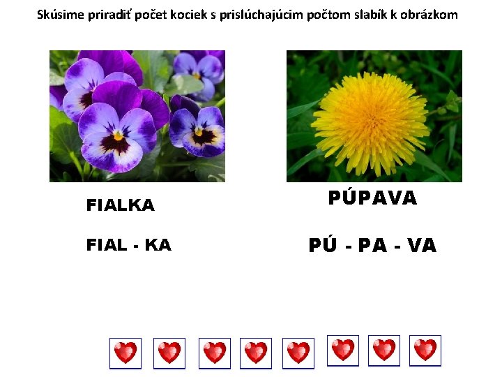 Skúsime priradiť počet kociek s prislúchajúcim počtom slabík k obrázkom FIALKA FIAL - KA