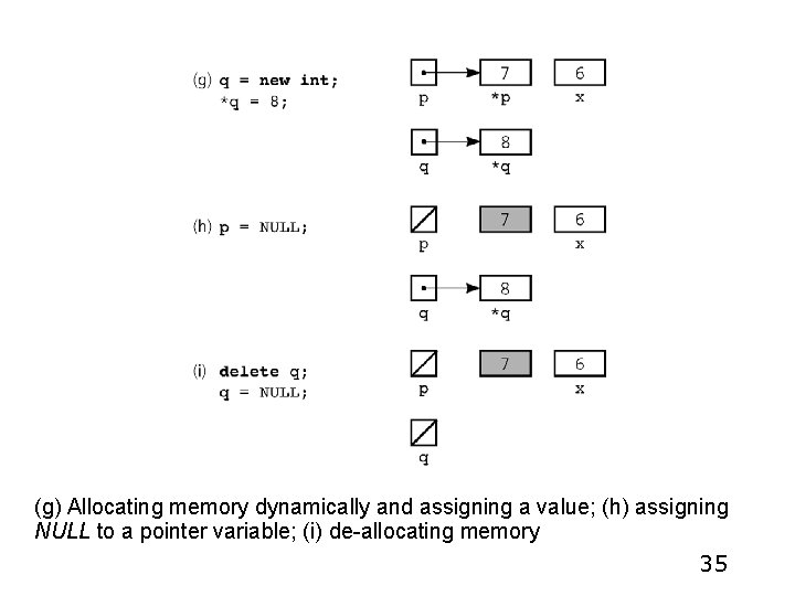 (g) Allocating memory dynamically and assigning a value; (h) assigning NULL to a pointer