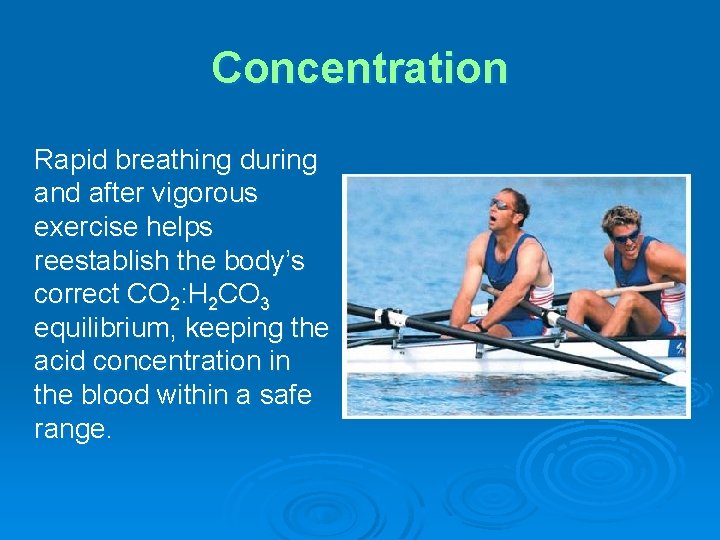 Concentration Rapid breathing during and after vigorous exercise helps reestablish the body’s correct CO
