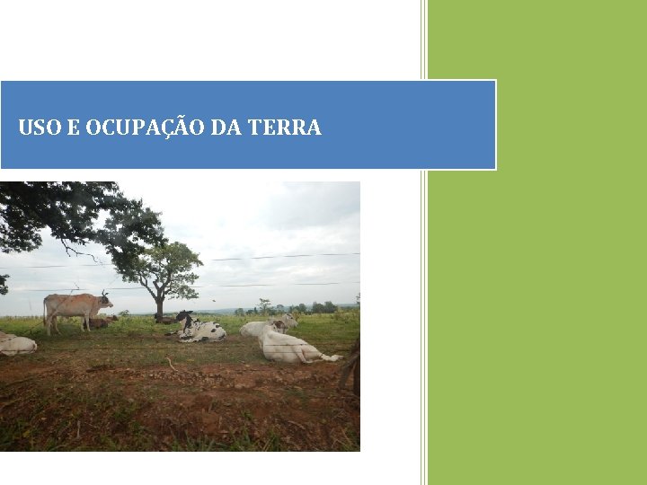 USO E OCUPAÇÃO DA TERRA 