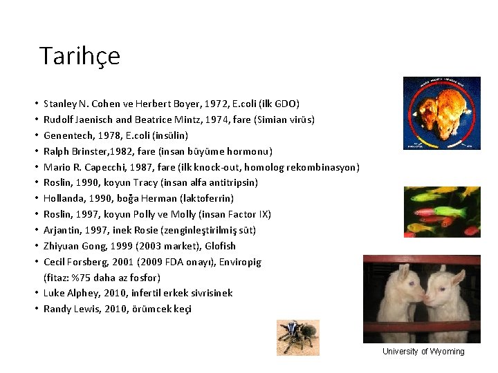 Tarihçe Stanley N. Cohen ve Herbert Boyer, 1972, E. coli (ilk GDO) Rudolf Jaenisch