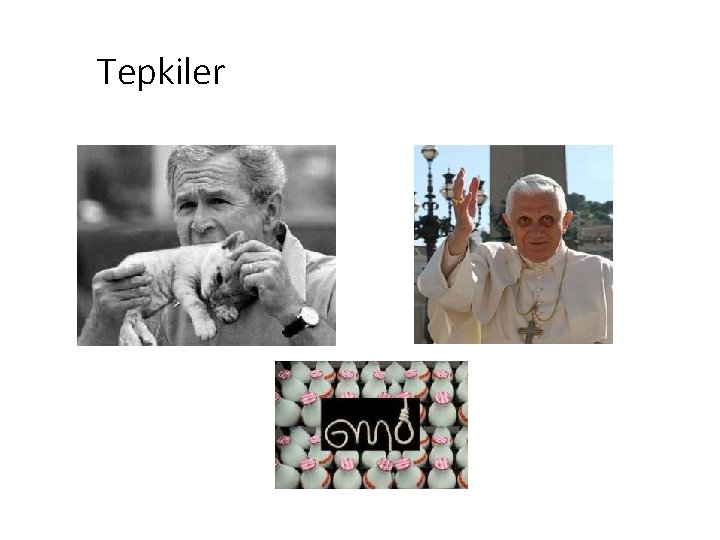 Tepkiler 