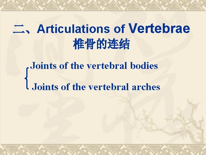 二、Articulations of Vertebrae 椎骨的连结 Joints of the vertebral bodies Joints of the vertebral arches