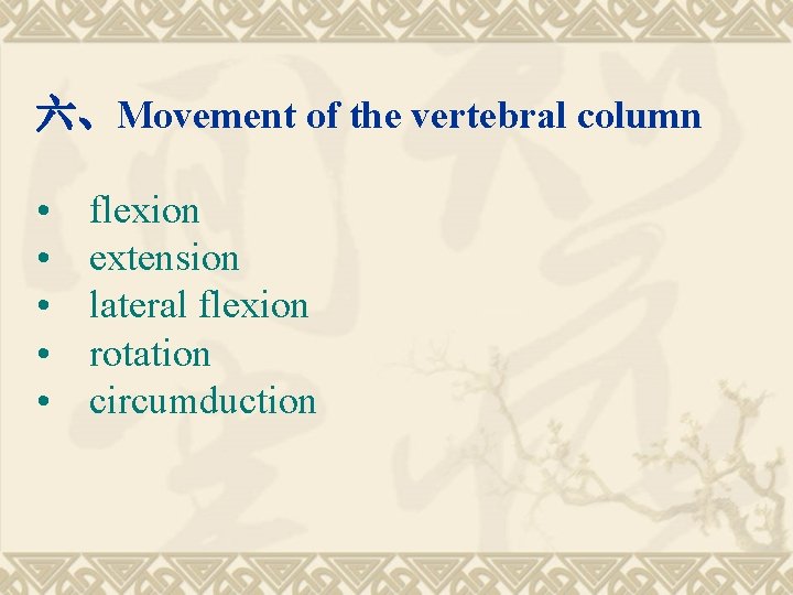 六、Movement of the vertebral column • • • flexion extension lateral flexion rotation circumduction