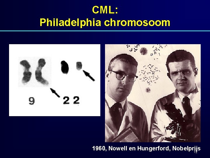 CML: Philadelphia chromosoom 1960, Nowell en Hungerford, Nobelprijs 12 