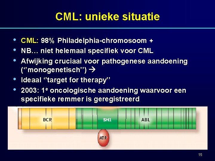 CML: unieke situatie • • • CML: 98% Philadelphia-chromosoom + NB… niet helemaal specifiek