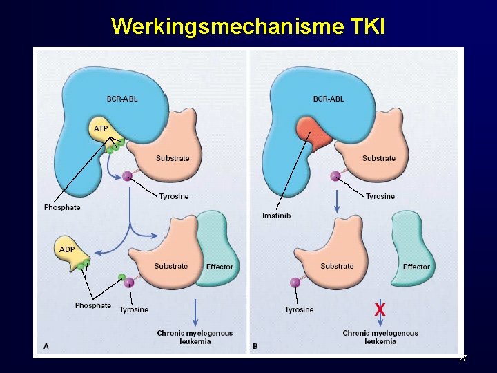 Werkingsmechanisme TKI 27 