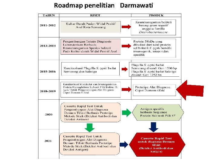 Roadmap penelitian Darmawati 