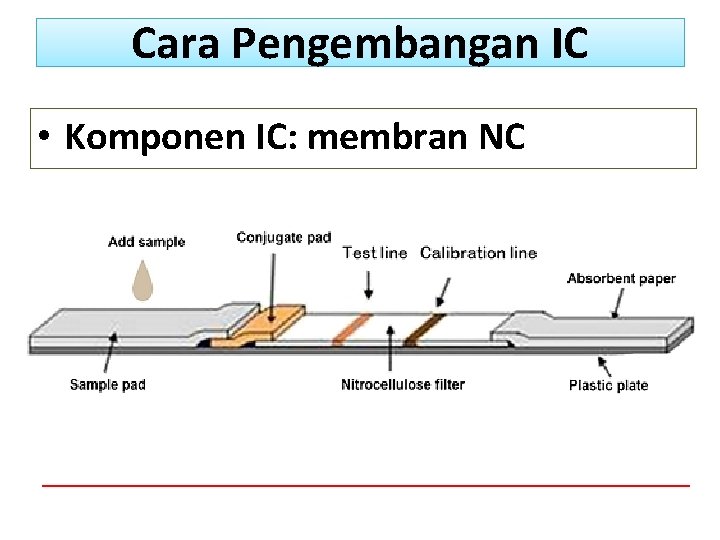 Cara Pengembangan IC • Komponen IC: membran NC 