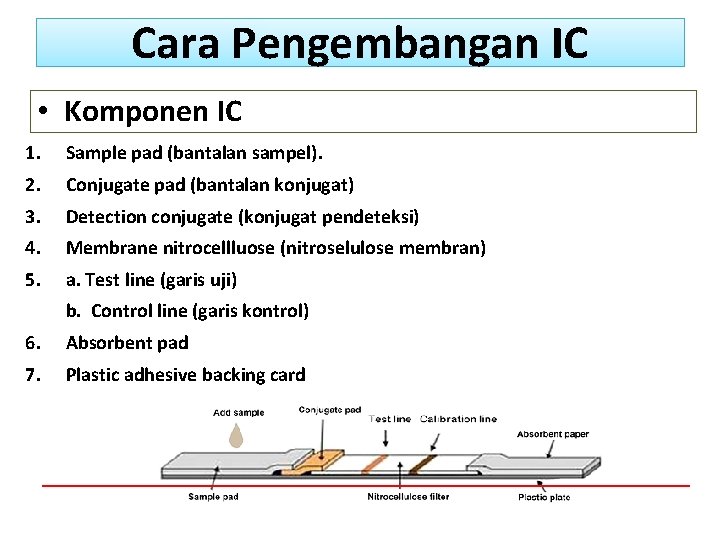 Cara Pengembangan IC • Komponen IC 1. Sample pad (bantalan sampel). 2. Conjugate pad