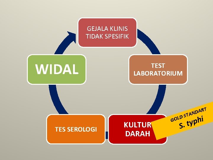 GEJALA KLINIS TIDAK SPESIFIK WIDAL TEST LABORATORIUM AR AND TES SEROLOGI KULTUR DARAH ST