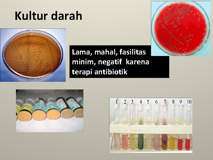 Kultur darah Lama, mahal, fasilitas minim, negatif karena terapi antibiotik 