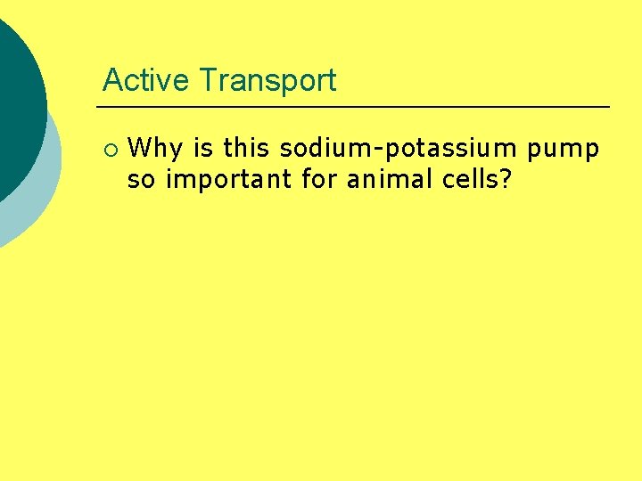 Active Transport ¡ Why is this sodium-potassium pump so important for animal cells? 