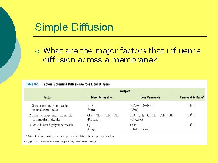 Simple Diffusion ¡ What are the major factors that influence diffusion across a membrane?