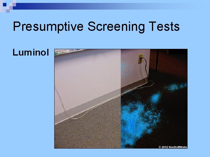 Presumptive Screening Tests Luminol 