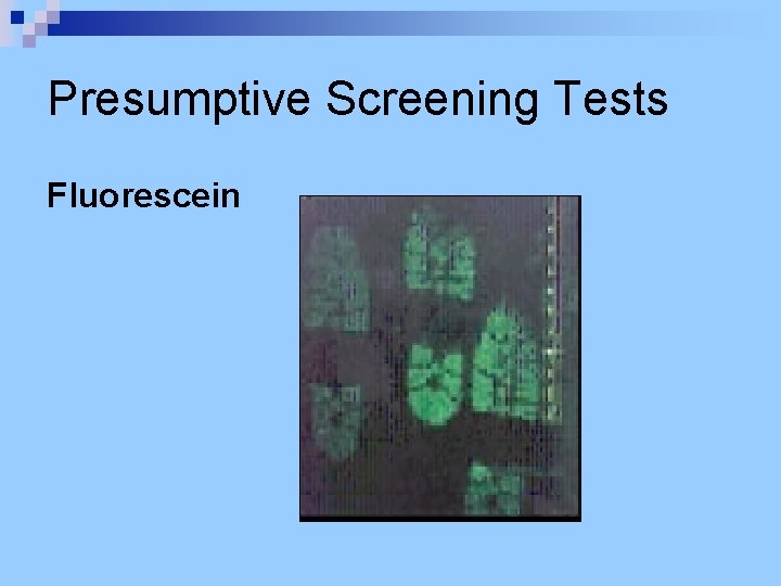 Presumptive Screening Tests Fluorescein 