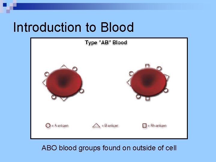 Introduction to Blood ABO blood groups found on outside of cell 