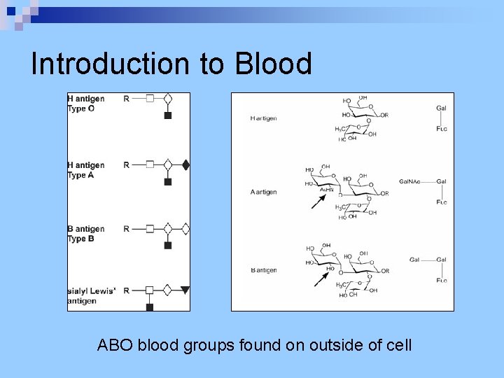 Introduction to Blood ABO blood groups found on outside of cell 