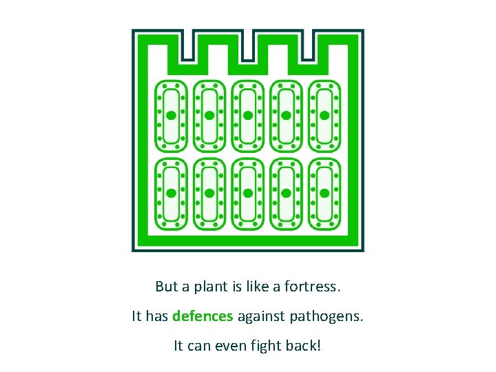 But a plant is like a fortress. It has defences against pathogens. It can