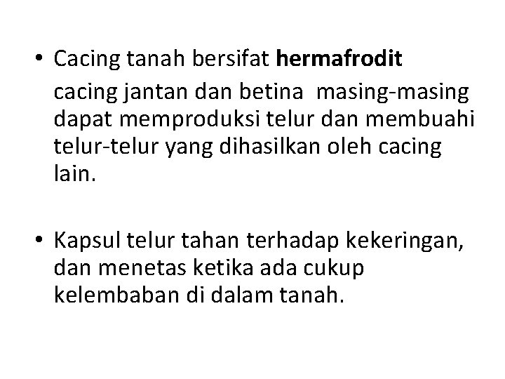  • Cacing tanah bersifat hermafrodit cacing jantan dan betina masing-masing dapat memproduksi telur