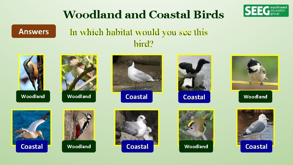 Woodland Coastal Birds Answers In which habitat would you see this bird? Woodland Coastal