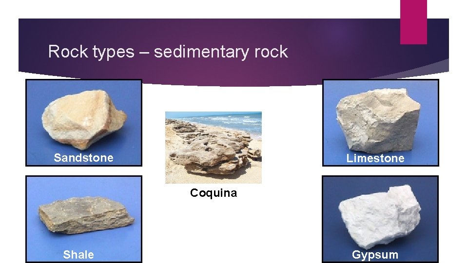 Rock types – sedimentary rock Sandstone Limestone Coquina Shale Gypsum 