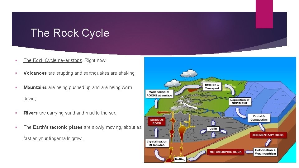 The Rock Cycle § The Rock Cycle never stops. Right now: § Volcanoes are