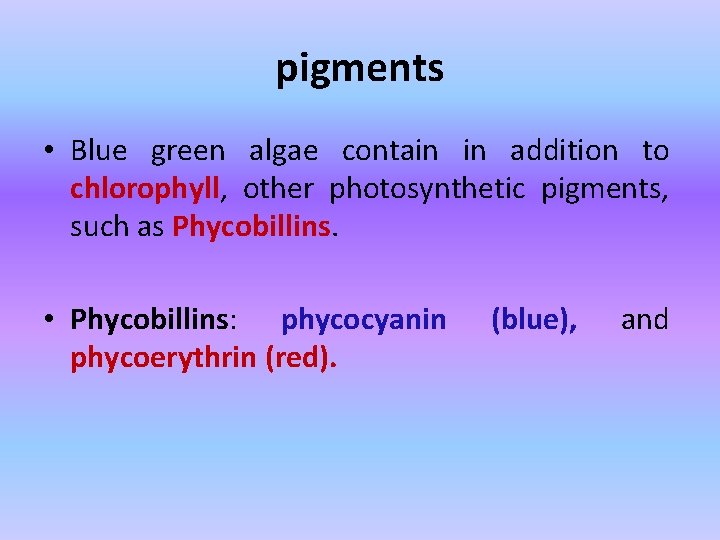 pigments • Blue green algae contain in addition to chlorophyll, other photosynthetic pigments, such