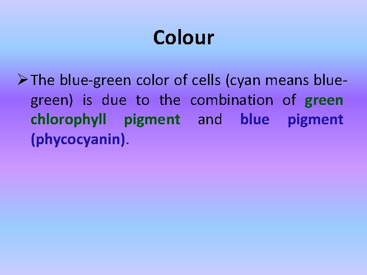 Colour Ø The blue-green color of cells (cyan means bluegreen) is due to the