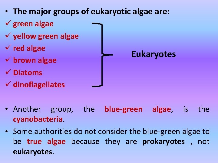  • The major groups of eukaryotic algae are: ü green algae ü yellow