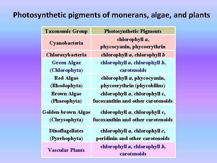 Photosynthetic pigments of monerans, algae, and plants Taxonomic Group Cyanobacteria Chloroxybacteria Green Algae (Chlorophyta)