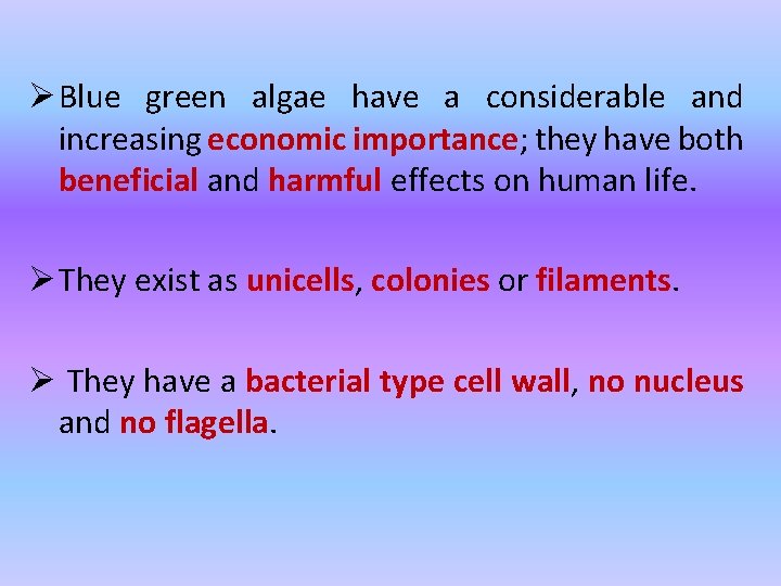 Ø Blue green algae have a considerable and increasing economic importance; they have both