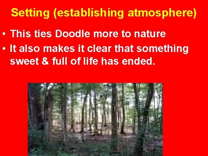 Setting (establishing atmosphere) • This ties Doodle more to nature • It also makes