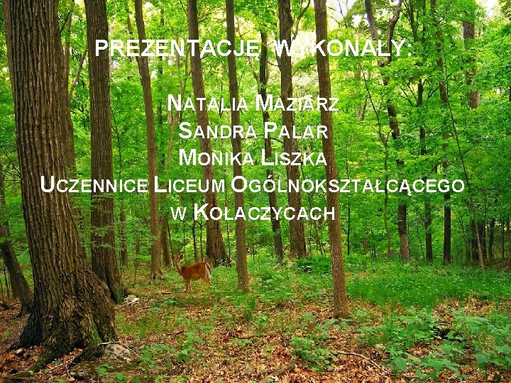 PREZENTACJĘ WYKONAŁY: NATALIA MAZIARZ SANDRA PALAR MONIKA LISZKA UCZENNICE LICEUM OGÓLNOKSZTAŁCĄCEGO W KOŁACZYCACH 