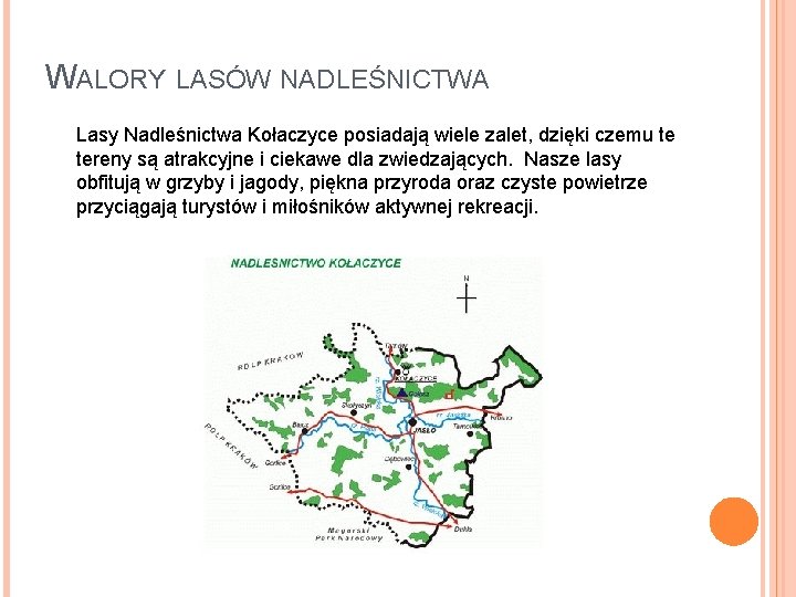 WALORY LASÓW NADLEŚNICTWA Lasy Nadleśnictwa Kołaczyce posiadają wiele zalet, dzięki czemu te tereny są