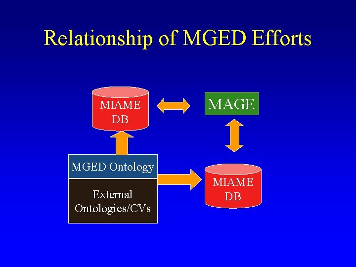 Relationship of MGED Efforts MIAME DB MAGE MGED Ontology External Ontologies/CVs MIAME DB Relationship of MGED Efforts MIAME DB MAGE MGED Ontology External Ontologies/CVs MIAME DB
