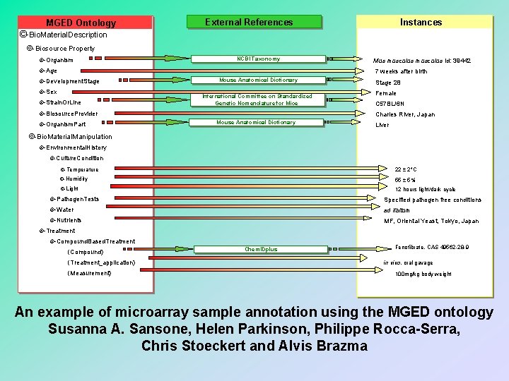 MGED Ontology External References Instances ©-Bio. Material. Description ©-Biosource Property ©-Organism NCBI Taxonomy ©-Age MGED Ontology External References Instances ©-Bio. Material. Description ©-Biosource Property ©-Organism NCBI Taxonomy ©-Age
