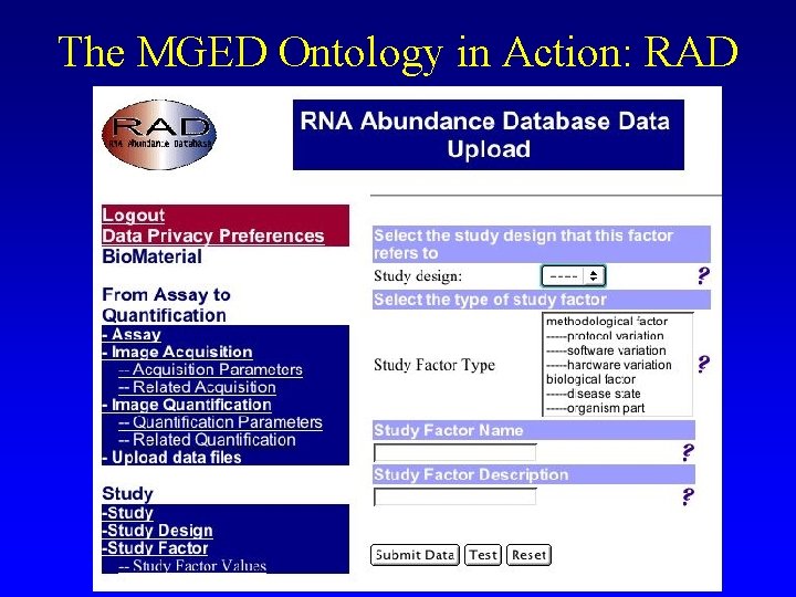 The MGED Ontology in Action: RAD The MGED Ontology in Action: RAD