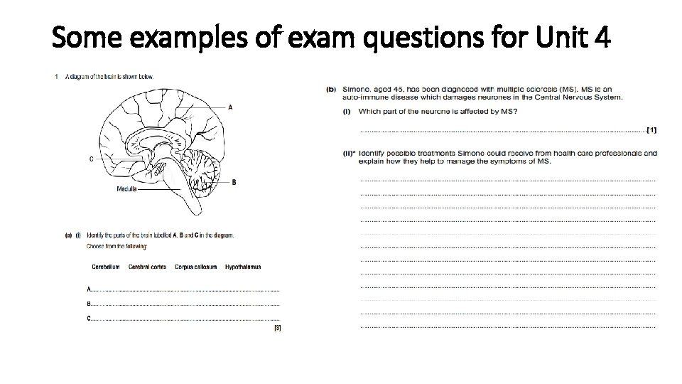 Some examples of exam questions for Unit 4 