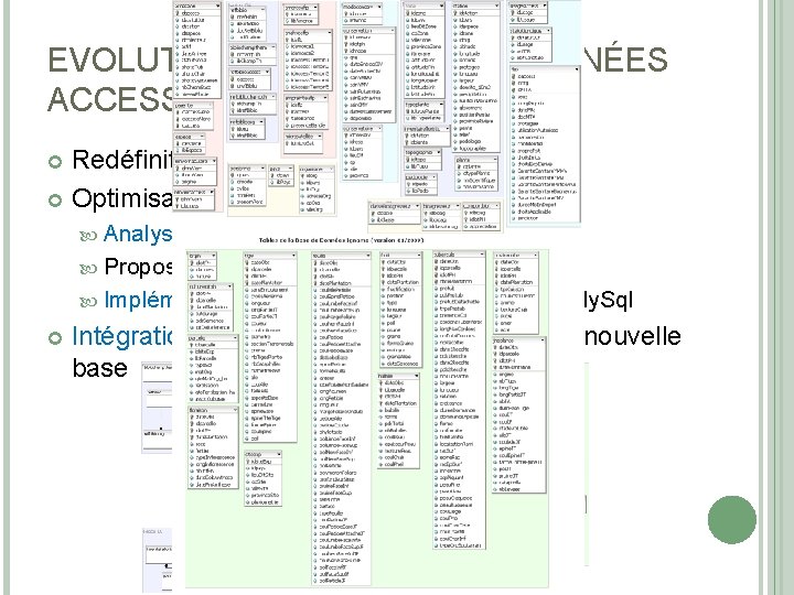 EVOLUTION DE LA BASE DE DONNÉES ACCESS Redéfinition des besoins Optimisation de la structure